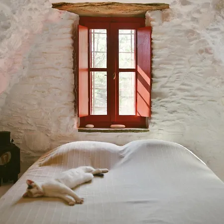 Rosalie Red House Lichnaftia